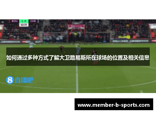 如何通过多种方式了解大卫路易斯所在球场的位置及相关信息