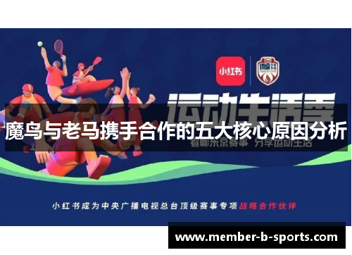 魔鸟与老马携手合作的五大核心原因分析